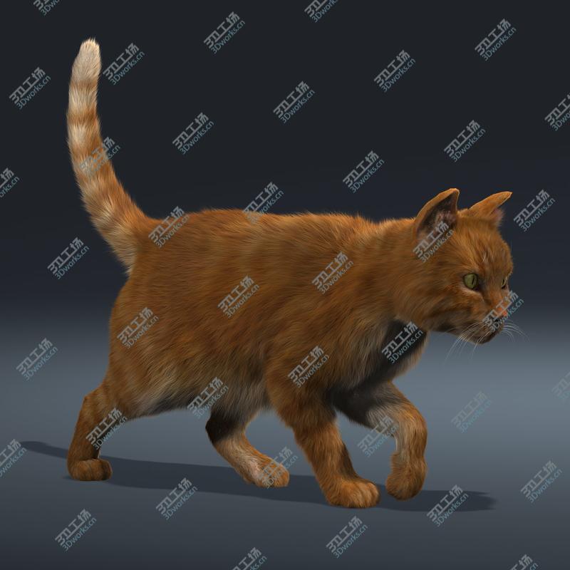 images/goods_img/20210319/Cat (Orange Tabby) (FUR) (ANIMATED)/2.jpg
